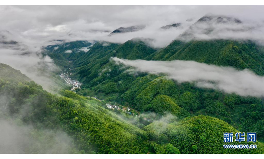 　5月17日，武夷山国家公园桐木村附近群山云雾缭绕（无人机照片）。

　　近日，福建武夷山地区迎来持续降雨。山林在雨水的润泽下，更显秀美。

　　新华社记者 姜克红 摄