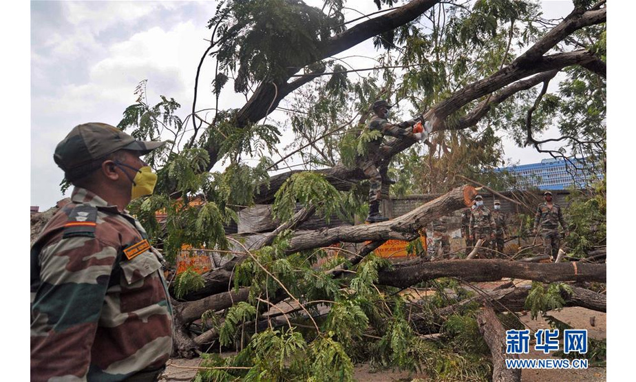 5月24日，在印度加尔各答，军事人员清理一处倒下的树木。 特强气旋风暴“安攀”本周早些时候重创印度西孟加拉邦，政府正在组织灾区清理，以恢复正常生活。 新华社发
