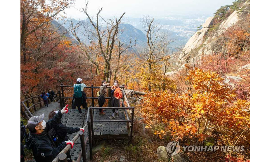 25日，登山爱好者们来到北汉山登高赏枫。