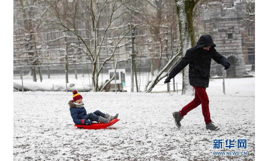 2月7日，人们在比利时布鲁塞尔的五十周年纪念公园玩雪。

　　当日，比利时首都布鲁塞尔迎来降雪天气，众多市民外出赏雪、游玩。

　　新华社记者 张铖 摄