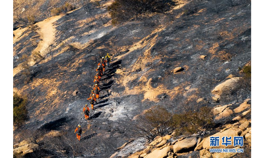 11月12日，在美国加利福尼亚州锡米瓦利，消防员在火场搜寻。 美国西部加利福尼亚州两场山火11日持续肆虐，救援人员当天又找到6具遗体，死亡总人数上升至31人。 新华社发（钱卫忠摄）