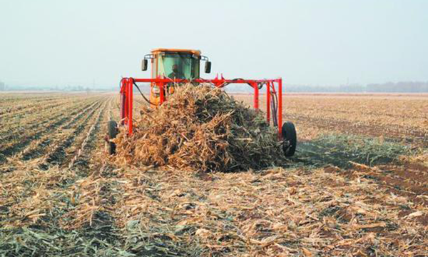 桦南秸秆制成固化燃料减少二氧化碳排放