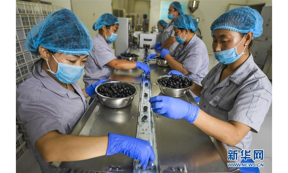 8月19日，河北景县一家黑蒜加工企业工人在进行成品包装。新华社记者 李晓果 摄