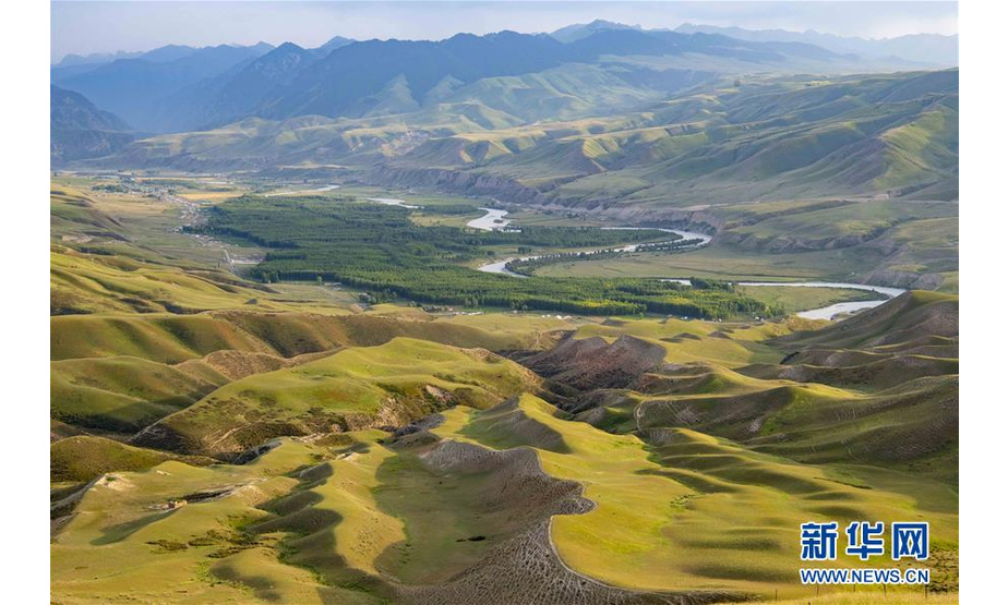 这是8月13日拍摄的喀拉峻草原一景。 喀拉峻草原位于新疆伊犁河谷的特克斯县境内，山峦连绵起伏，线条柔美，层次分明，犹如一幅大气磅礴的天然画卷。 新华社记者 胡虎虎 摄