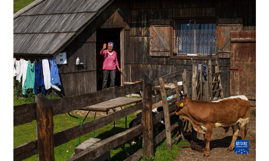 9月8日，斯洛文尼亚维利卡普拉尼那高地的牧民在小木屋前挥手。

　　位于斯洛文尼亚北部的维利卡普拉尼那高地是欧洲现存最大的牧民定居点，早在中世纪已有牧民定居。每到夏季，该地独特的高原牧场风景和传统的牧民生活习俗吸引大批徒步旅行爱好者到此观光。

　　新华社发（泽利科·斯特凡尼奇摄）