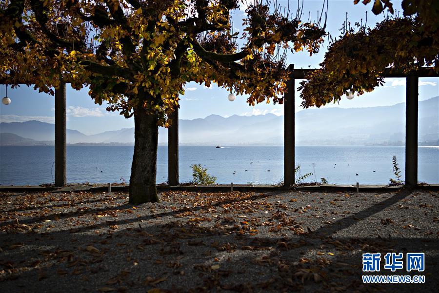 这是11月12日在瑞士苏黎世湖畔拍摄的深秋景色。 苏黎世位于瑞士中北部，是瑞士最大城市。 新华社发（米歇尔·立米纳摄）