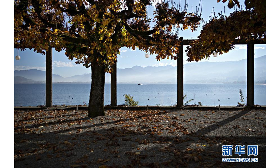 这是11月12日在瑞士苏黎世湖畔拍摄的深秋景色。 苏黎世位于瑞士中北部，是瑞士最大城市。 新华社发（米歇尔·立米纳摄）