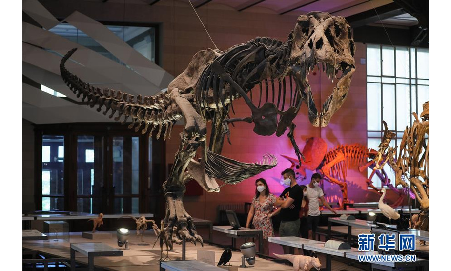 9月15日，在比利时布鲁塞尔的比利时皇家自然科学博物馆，人们参观霸王龙模型。新华社记者 郑焕松 摄