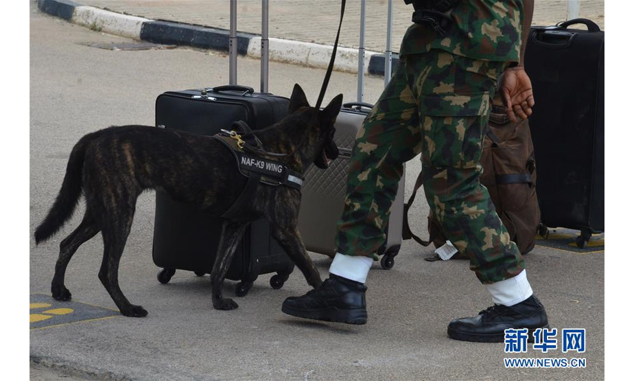 7月8日，士兵带着军犬在尼日利亚阿布贾机场检查旅客行李。 新华社发（奥拉屯基·奥巴萨摄）