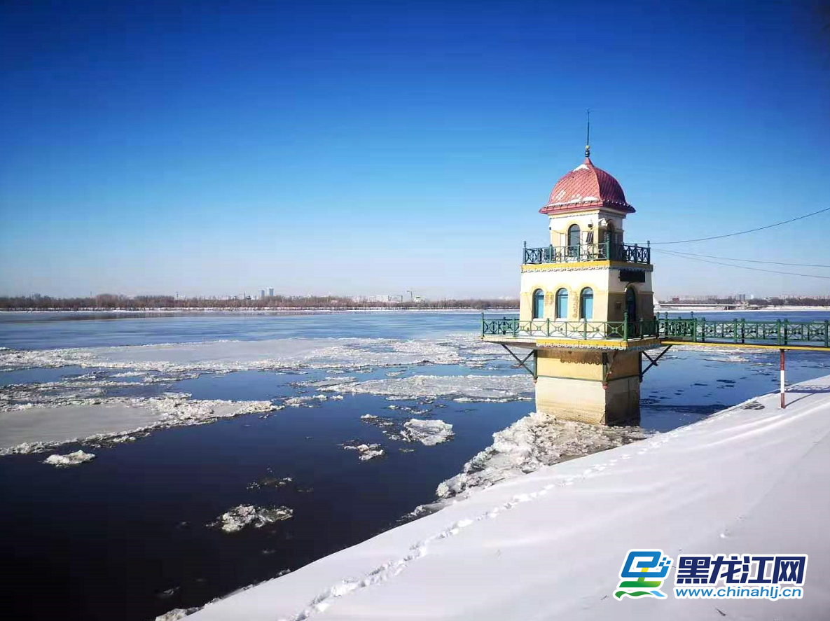 随着气温大幅下降，松花江封江在即。11月20日，哈尔滨市区内的松花江面上大块的冰排顺流而下，吸引了许多市民前来观看美景。（记者 白林鹤）