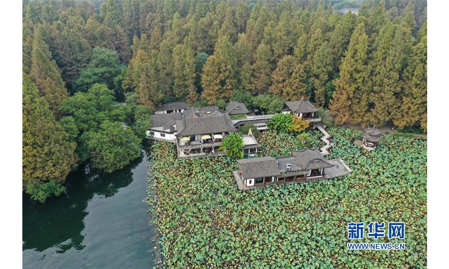 10月22日，西湖周边的植被染上秋色（无人机照片）。 近日，随着气温降低，杭州西湖初露秋色，显出迷人风韵。 新华社记者 翁忻旸 摄