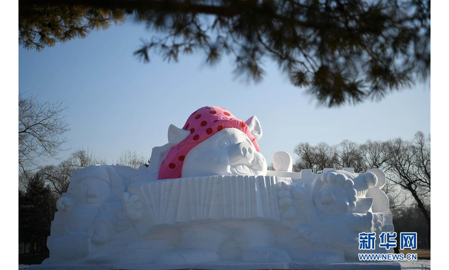 12月17日拍摄的“欢乐金猪”主题雪雕。 日前，“欢乐金猪”主题雪雕在哈尔滨太阳岛雪博会园区亮相。这个为迎接农历猪年到来制作的雪雕由三只“翩翩起舞”的小猪组成，高12米、长22米。 新华社记者王建威摄