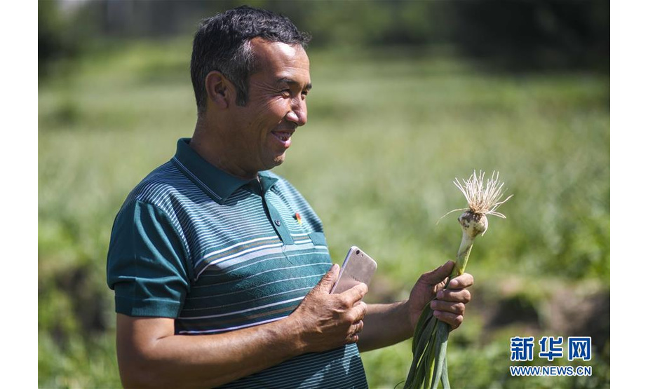 8月22日，且末县库拉木勒克乡江尕勒萨依村村民展示高原香蒜。 新华社记者 赵戈 摄