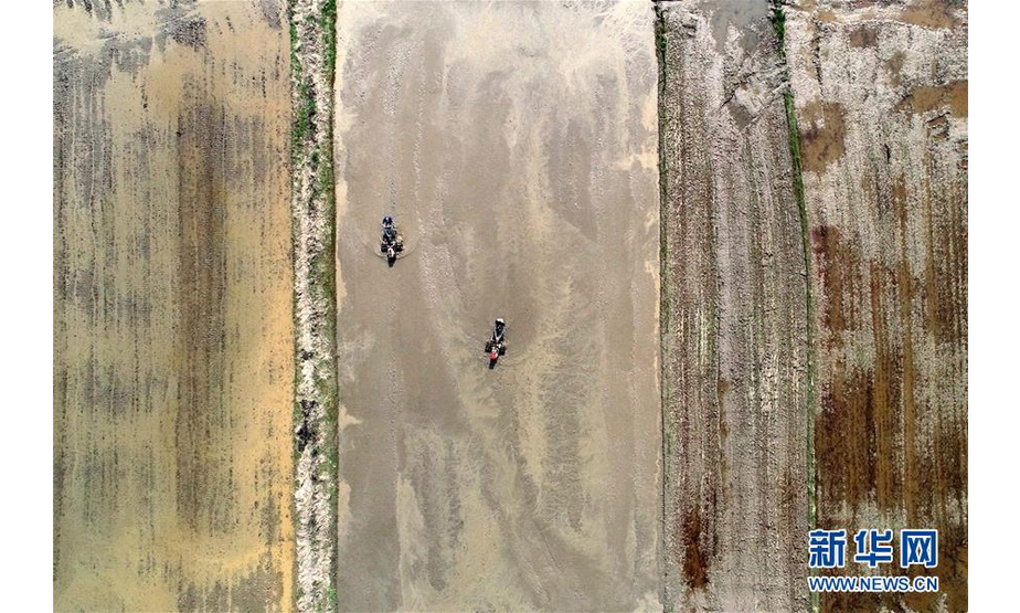 3月12日，在江西省南昌县泾口乡，当地农户在翻田平地（无人机拍摄）。 新华社记者 彭昭之 摄