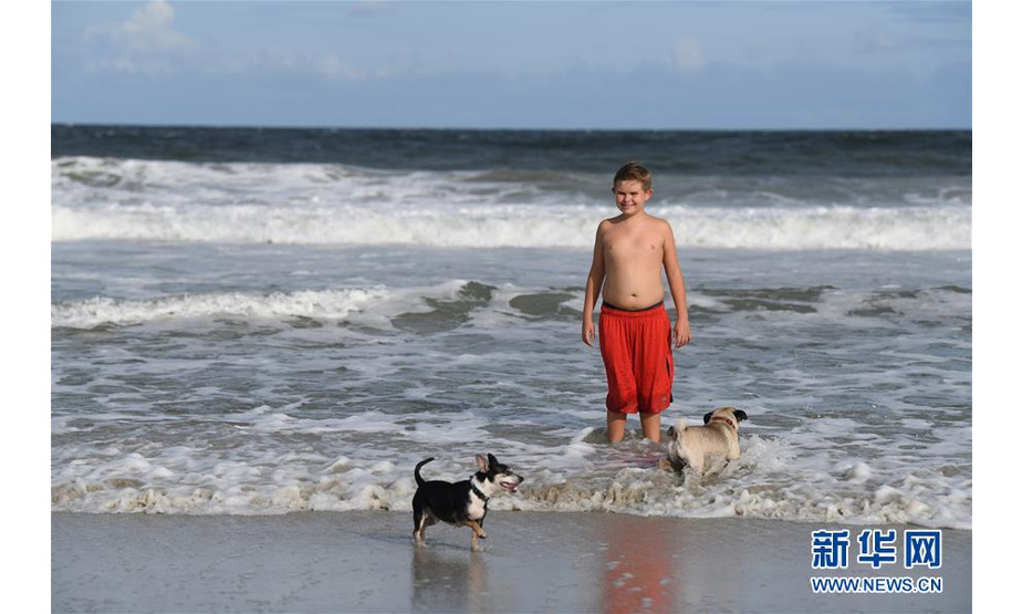9月12日，在美国北卡罗来纳州威尔明顿市，一个小男孩带着宠物狗在沙滩上玩耍。 新华社记者 刘杰 摄 