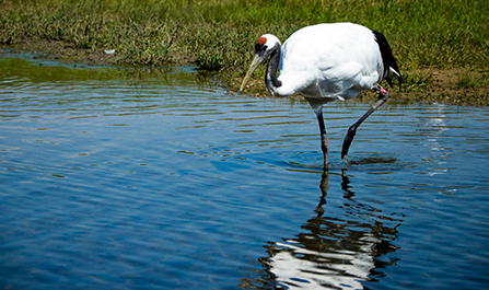 //www.hljpic.cn/e5e92188010eacec55ff3da415866803?p=0