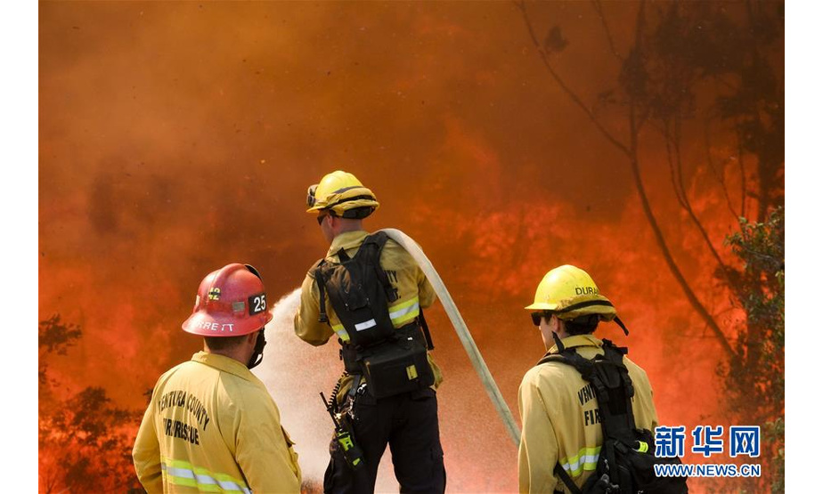 11月12日，在美国加利福尼亚州锡米瓦利，消防员在火场灭火。 美国西部加利福尼亚州两场山火11日持续肆虐，救援人员当天又找到6具遗体，死亡总人数上升至31人。 新华社发（赵汉荣摄）