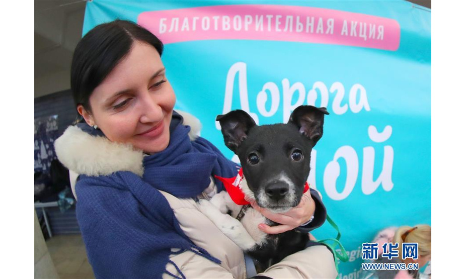 1月18日，在白俄罗斯首都明斯克，一名女子抱着宠物狗参加活动。 当日，一场名为“回家之路”的动物关爱活动在明斯克举行，人们在活动上为一些接种过疫苗、卫生健康的流浪动物寻找爱心主人。 新华社发（任科夫摄）
