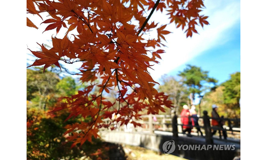 25日，游客们来到雪岳山国立公园，在小公园享受观赏枫叶的乐趣。


