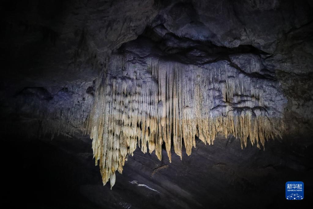 这是9月4日在比利时那慕尔省莱斯河畔昂村拍摄的汉溶洞景观。

　　汉溶洞位于比利时瓦隆大区那慕尔省的莱斯河畔昂村，是比利时著名的旅游景点。溶洞内拥有大量钟乳石、石笋等自然景观。

　　新华社记者 郑焕松 摄