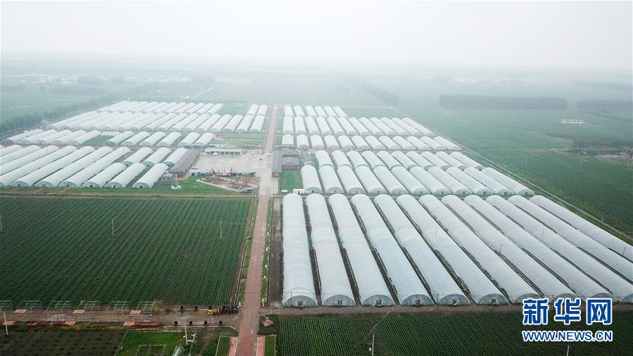 这是7月5日拍摄的黑龙江省肇东市昌五镇昌盛村农业生态观光园扶贫大棚（无人机照片）。黑龙江省肇东市昌五镇昌盛村农业生态观光园占地千余亩，融合了种植采摘、民俗产品展销、旅游观光等项目，方便周边农民就近就业，助力脱贫增收。新华社记者 王建威 摄