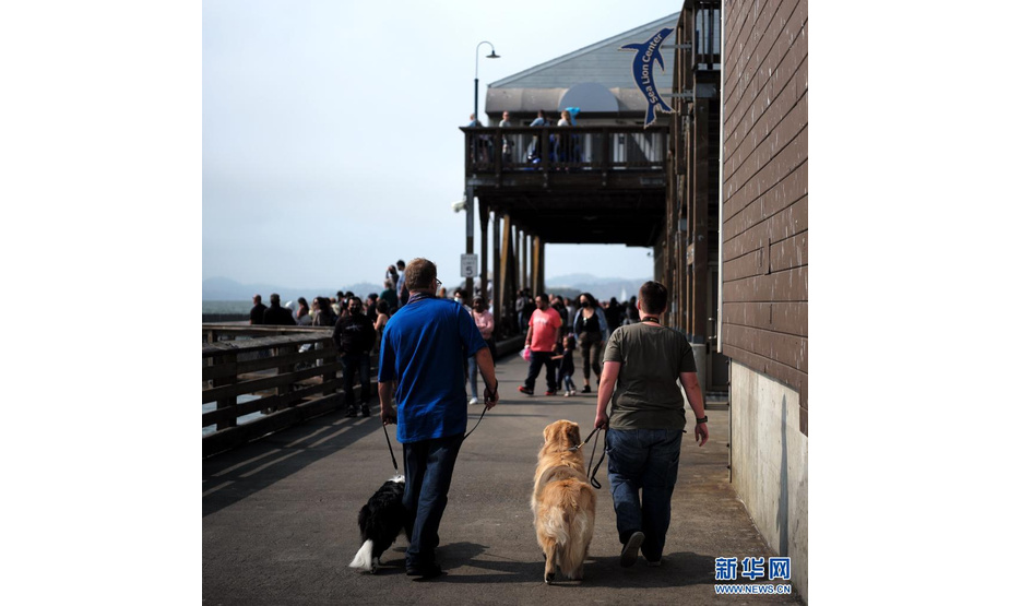 8月15日，人们在美国旧金山海边码头遛狗。

　　由于新冠疫情大幅反弹，美国旧金山市颁布卫生条令，从8月20日起，只有完成疫苗接种的市民才能进入酒吧、餐厅、健身房、剧院等室内场所。

　　新华社记者 吴晓凌 摄