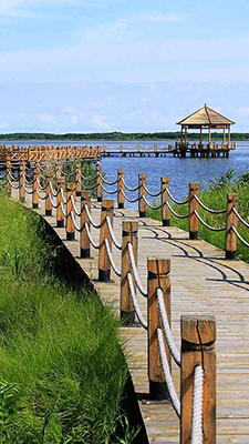 //www.hljpic.cn/edeff1f39a2114302f1e4946ac8088ed?p=0