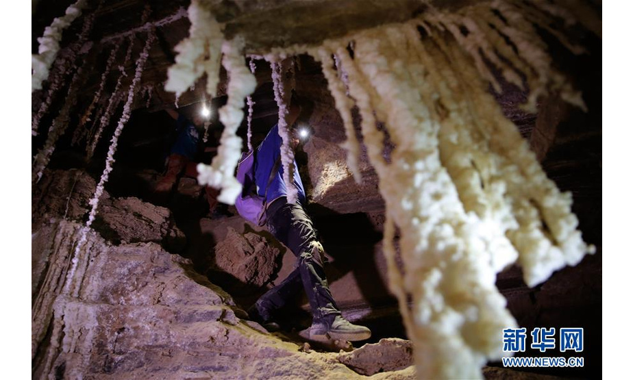 4月14日，探洞爱好者在位于死海南端的以色列迈勒海姆盐洞内探索。 以色列洞穴研究专家近日宣布，他们与来自其他国家的洞穴探索者合作勘查发现，位于死海地区的以色列迈勒海姆洞长10公里，是世界上最长的盐洞。这个盐洞最初由以色列希伯来大学洞穴研究中心专家上世纪80年代在绵延11公里的塞多姆山里发现。塞多姆山位于死海西南端，比海平面低170米。山体几乎全部由盐构成，只覆盖薄薄一层岩石。每年冬季，雨水渗入山石缝隙，溶解盐分，不断形成新的洞穴。 新华社发（吉尔·科恩·马根 摄）
 