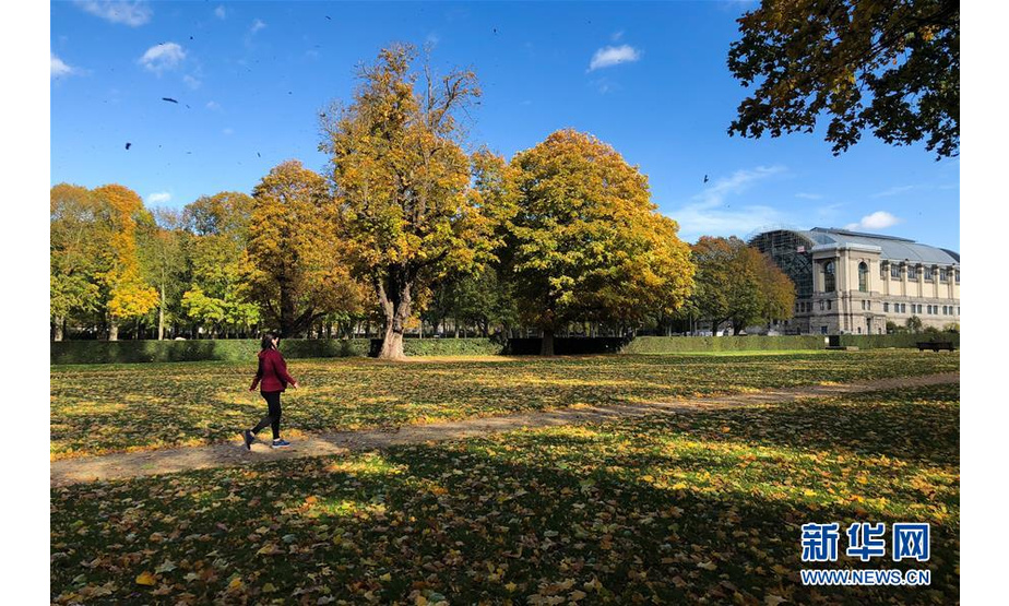　　10月21日，一名女子在比利时布鲁塞尔的五十周年纪念公园行走。 时下的比利时首都布鲁塞尔正值秋季，景色迷人。 新华社记者 郑焕松 摄

