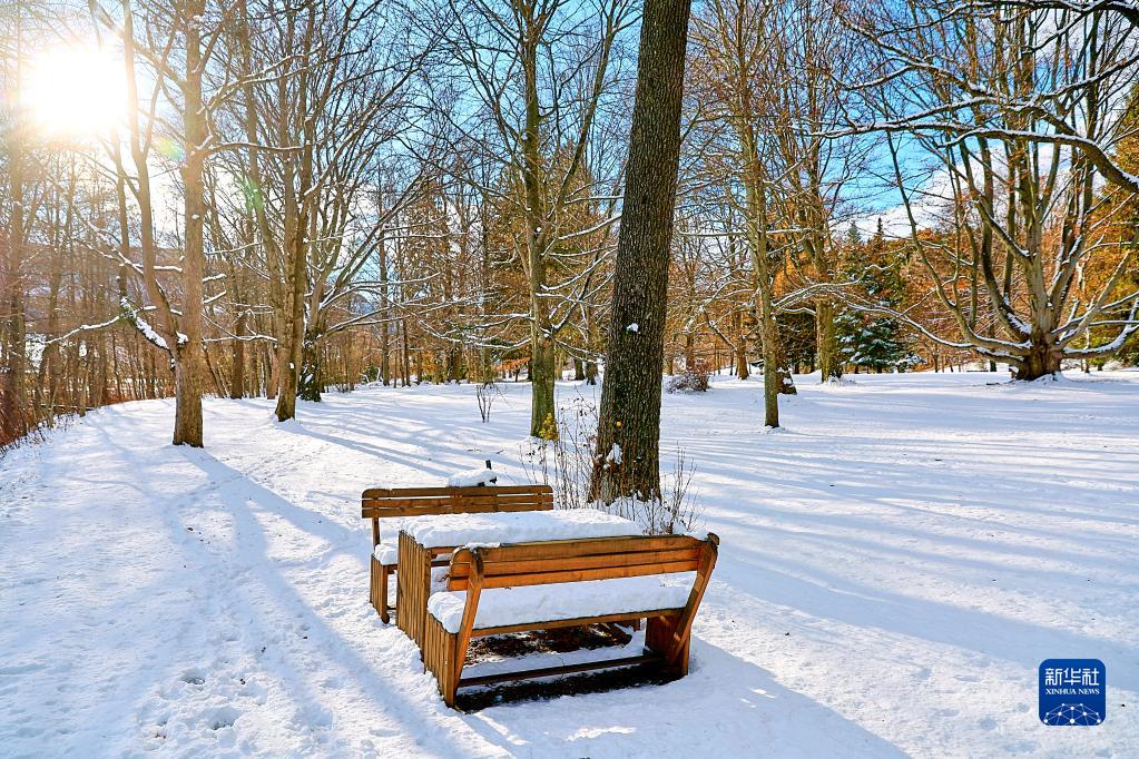 这是12月10日在奥地利下奥地利州一处山区拍摄的雪景。

　　近日，奥地利全境遭遇降雪天气，雪后的奥地利山区风景如画，美不胜收。

　　新华社发（乔治斯·施耐德 摄）
