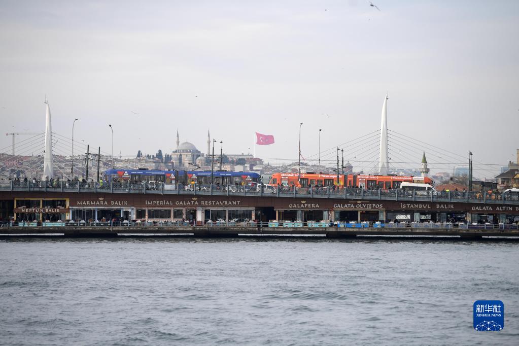 这是12月26日在土耳其伊斯坦布尔拍摄的博斯普鲁斯海峡风光。

　　新华社记者沙达提摄