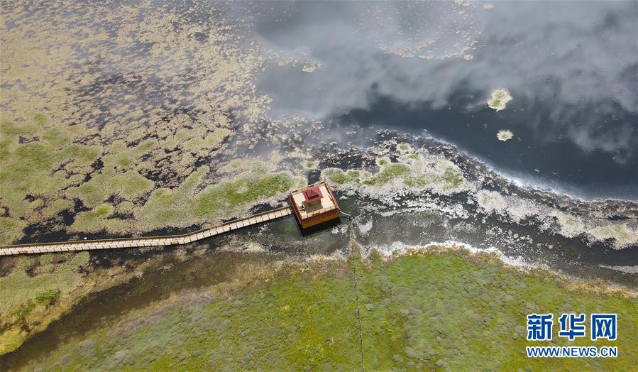 这是9月15日在甘肃省甘南藏族自治州碌曲县拍摄的尕海湖（无人机照片）。新华社记者 张智敏 摄