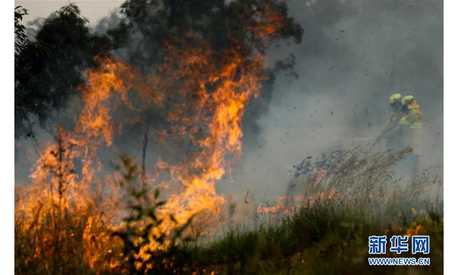 11月11日，在澳大利亚新南威尔士州塔里附近的山地，消防员在扑灭山火。新华社记者 白雪飞 摄