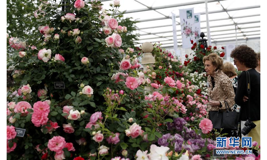 5月20日，在英国伦敦，人们在切尔西花展媒体日上参观。 拥有百年历史的世界著名花展——皇家园艺学会切尔西花展将于5月21日至25日在英国伦敦举行。 新华社记者韩岩摄