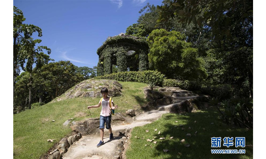 3月27日，一名儿童在巴西里约热内卢植物园内游览。 新华社记者李明摄