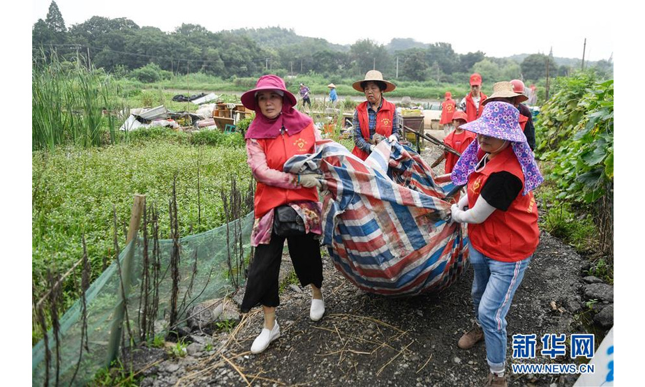 7月16日，吴兴区八里店镇的志愿者在清运垃圾。新华社记者 黄宗治 摄