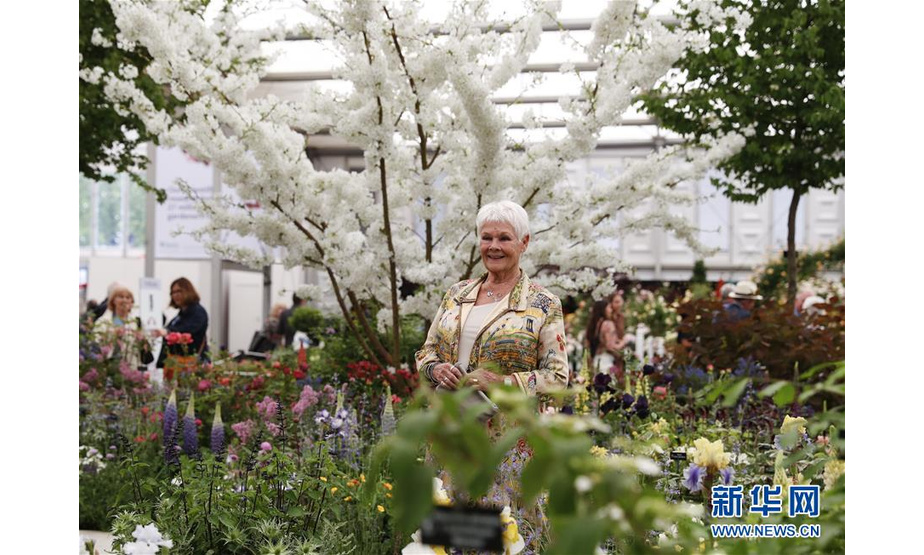 5月20日，在英国伦敦，女演员朱迪·丹奇在切尔西花展媒体日上参观。 拥有百年历史的世界著名花展——皇家园艺学会切尔西花展将于5月21日至25日在英国伦敦举行。 新华社记者韩岩摄