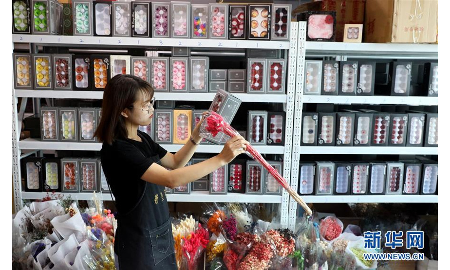 8月19日，在石家庄市“那些花儿”创意工作室，工作人员在挑选“永生花”材料。新华社记者 赵丹惠 摄