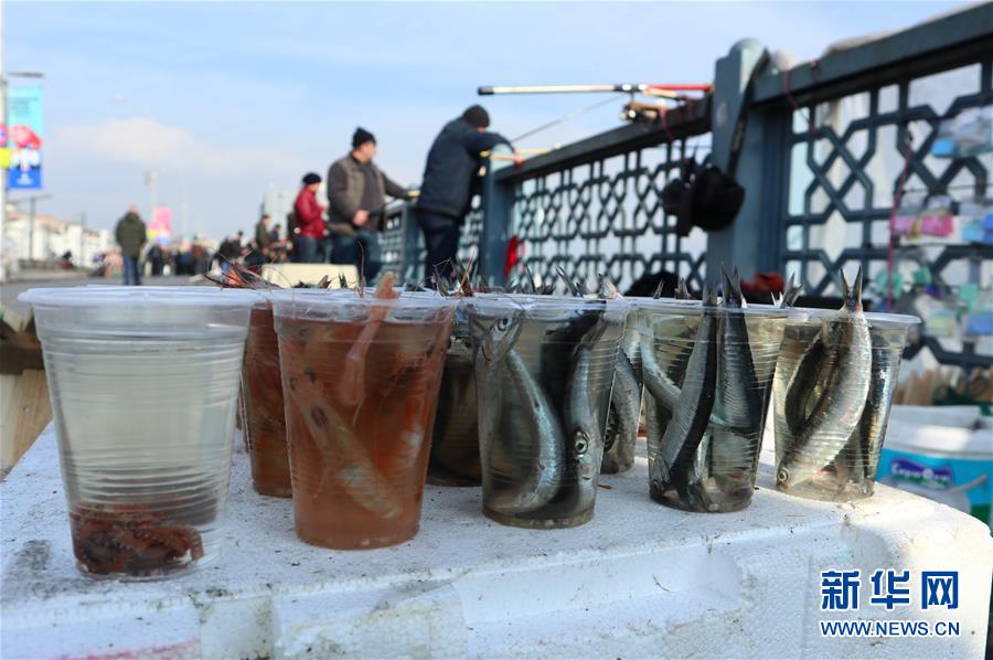 这是1月14日在土耳其伊斯坦布尔拍摄的垂钓爱好者准备的鱼饵。 近日，土耳其最大城市伊斯坦布尔的气温转暖，不少垂钓爱好者来到海边，享受冬日的暖阳和垂钓的乐趣。 新华社记者 徐速绘 摄