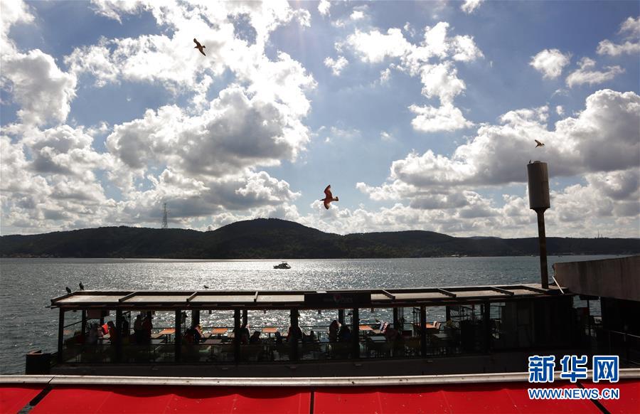 这是8月3日在土耳其伊斯坦布尔拍摄的海滨美景。 土耳其伊斯坦布尔的海滨碧水云天，景色宜人。 新华社记者 徐速绘 摄