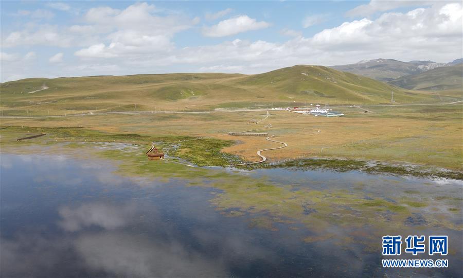这是9月15日在甘肃省甘南藏族自治州碌曲县拍摄的尕海湖（无人机照片）。尕海湖位于甘肃省甘南藏族自治州碌曲县境内，是青藏高原东端的高原湿地，黄河上游支流洮河的重要水源补给区。近年来，甘肃尕海则岔国家级自然保护区尕海保护站实施湿地禁牧补偿、生态修复和环境治理等项目，加之近两年甘肃降水持续增多，尕海湖水域面积不断扩大，湿地生态系统日趋完善。新华社记者 张智敏 摄