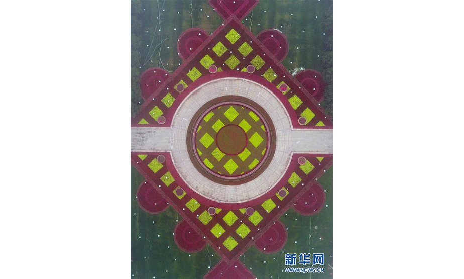 青岛五四广场的“中国结”造型花坛（6月5日无人机拍摄）。新华社记者 朱峥 摄