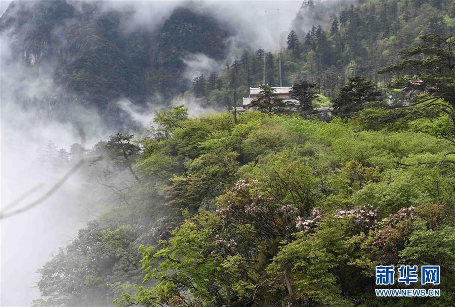 这是秀美的峨眉山景色（5月21日摄）。初夏，四川省峨眉山花红树绿，山川景色秀丽壮观。新华社记者杨宗友摄
