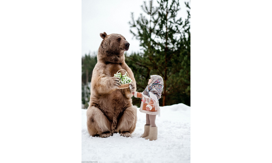 图中斯蒂芬接受了小女孩儿送给它的一篮子的花。这只大棕熊平时一天能吃下约25公斤的鱼、鸡蛋和蔬菜，饭量大到惊人。