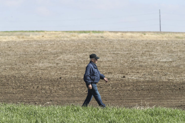 特写播种季里的中美豆农
