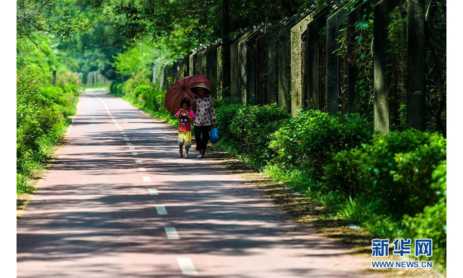 深圳经济特区管理线旁的小路已经被改为健身步道，居民走在管理线的铁丝网旁（2015年8月25日摄）。新华社记者毛思倩 摄
